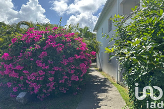 achat appartement st-martin 97150