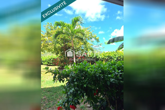 achat appartement st-martin 97150
