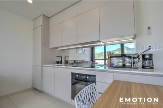 achat appartement st-martin 97150