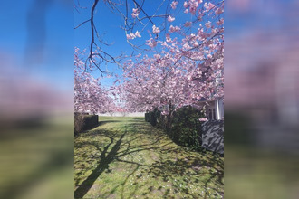 achat appartement st-medard-en-jalles 33160