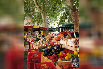 achat appartement st-remy-de-provence 13210