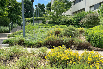 achat appartement ste-foy-les-lyon 69110