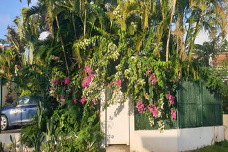 achat appartement ste-luce 97228