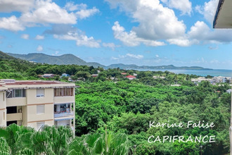 achat appartement ste-luce 97228