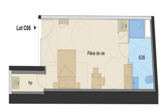 achat appartement tassin-la-demi-lune 69160