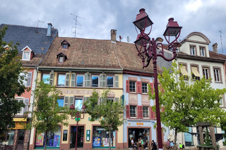 achat appartement thann 68800