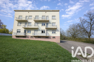 achat appartement theding 57450
