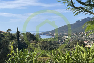 achat appartement theoule-sur-mer 06590