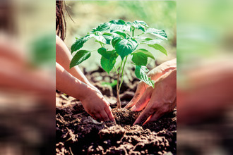 achat appartement toulouse 31400