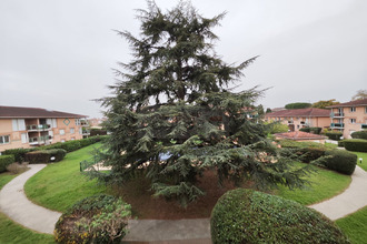 achat appartement tournefeuille 31170