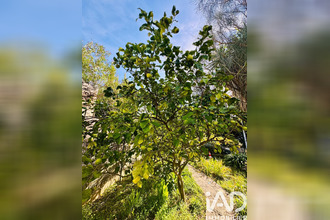 achat appartement vallauris 06220