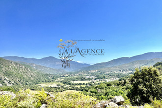 achat appartement valle-di-rostino 20235