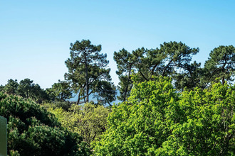 achat appartement vaux-sur-mer 17640