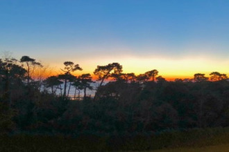 achat appartement vaux-sur-mer 17640