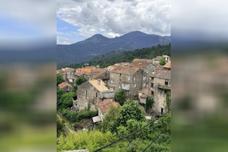 achat appartement venaco 20231