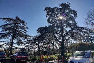 achat appartement venissieux 69200