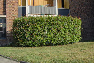 achat appartement villemomble 93250