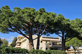 achat appartement villeneuve-loubet 06270