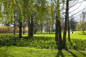 achat appartement villiers-sur-marne 94350