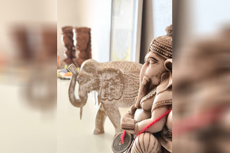 achat appartement viuz-en-sallaz 74250