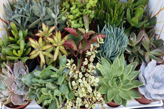 achat boutique aubignan 84810