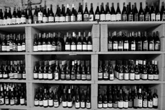 achat boutique auray 56400