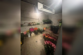 achat boutique beaurepaire 38270