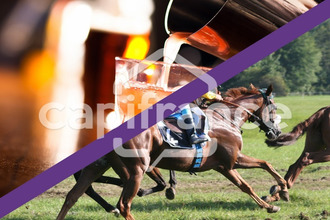 achat boutique caen 14000