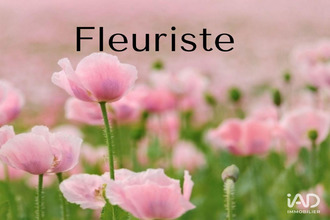 achat boutique caen 14000