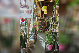 achat boutique carhaix-plouguer 29270