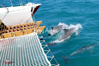 achat boutique deshaies 97126