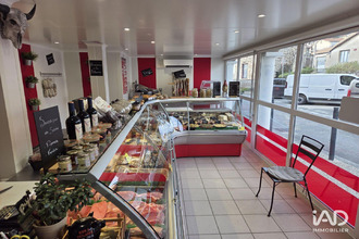 achat boutique felines 07340