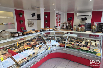 achat boutique felines 07340