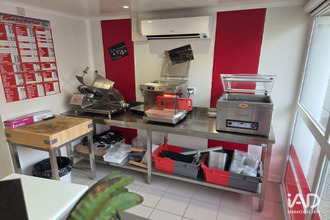 achat boutique felines 07340