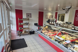 achat boutique felines 07340