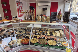 achat boutique felines 07340