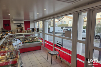 achat boutique felines 07340