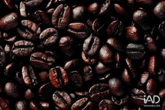 achat boutique la-rochelle 17000