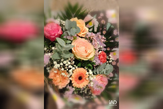 achat boutique lannion 22300