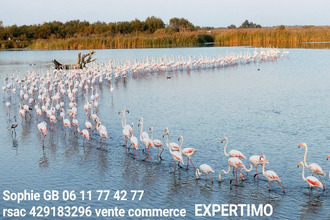 achat boutique le-grau-du-roi 30240