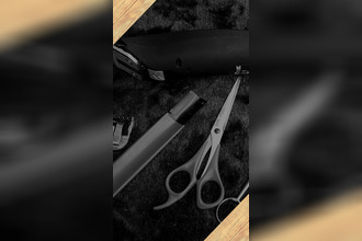 achat boutique le-palais-sur-vienne 87410