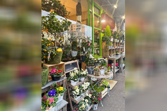 achat boutique nogent-sur-marne 94130