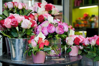 achat boutique paris-17 75017