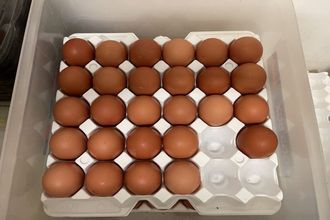 achat boutique paris 75019