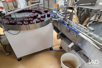 achat boutique phalsbg 57370