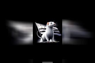 achat boutique rennes 35000