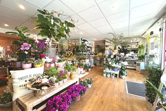 achat boutique roscoff 29680