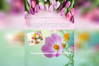 achat boutique st-amand-les-eaux 59230