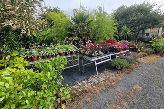 achat boutique st-denis-d-oleron 17650