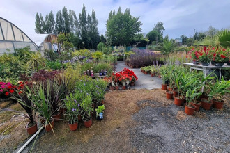 achat boutique st-denis-d-oleron 17650